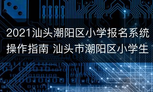 2021汕头潮阳区小学报名系统操作指南 汕头市潮阳区小学生入学