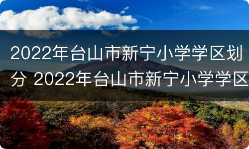 2022年台山市新宁小学学区划分 2022年台山市新宁小学学区划分图