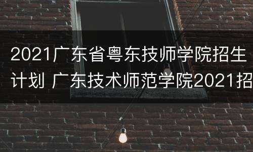 2021广东省粤东技师学院招生计划 广东技术师范学院2021招生