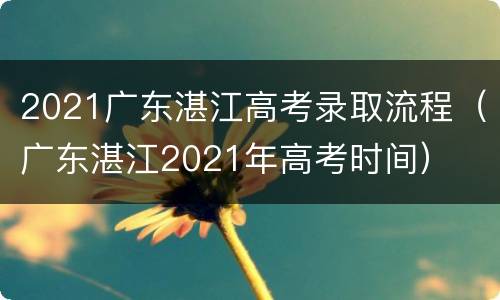 2021广东湛江高考录取流程（广东湛江2021年高考时间）