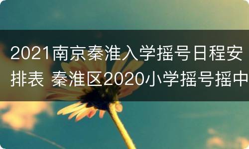 2021南京秦淮入学摇号日程安排表 秦淮区2020小学摇号摇中率