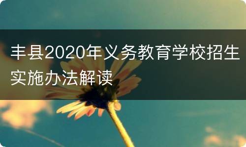 丰县2020年义务教育学校招生实施办法解读