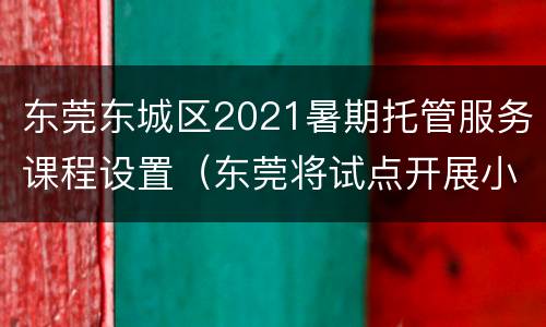 东莞东城区2021暑期托管服务课程设置（东莞将试点开展小学生暑期托管服务）