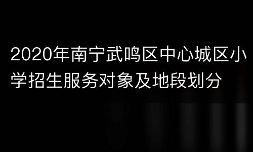 2020年南宁武鸣区中心城区小学招生服务对象及地段划分