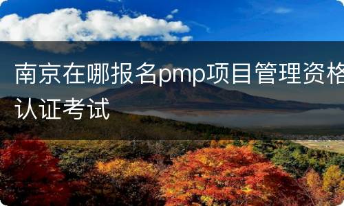 南京在哪报名pmp项目管理资格认证考试