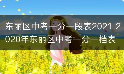 东丽区中考一分一段表2021 2020年东丽区中考一分一档表
