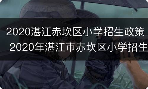 2020湛江赤坎区小学招生政策 2020年湛江市赤坎区小学招生