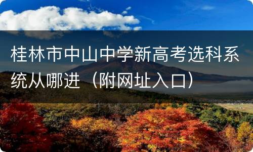 桂林市中山中学新高考选科系统从哪进（附网址入口）