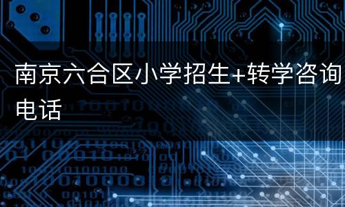 南京六合区小学招生+转学咨询电话