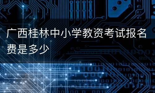 广西桂林中小学教资考试报名费是多少