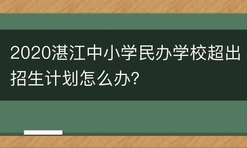2020湛江中小学民办学校超出招生计划怎么办？