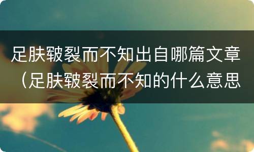 足肤皲裂而不知出自哪篇文章（足肤皲裂而不知的什么意思）
