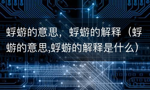 蜉蝣的意思，蜉蝣的解释（蜉蝣的意思,蜉蝣的解释是什么）