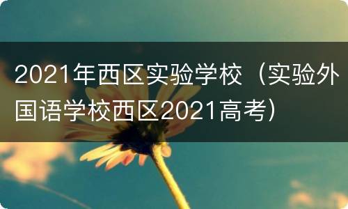 2021年西区实验学校（实验外国语学校西区2021高考）