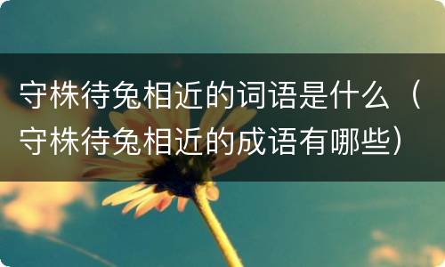 守株待兔相近的词语是什么（守株待兔相近的成语有哪些）