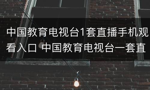 中国教育电视台1套直播手机观看入口 中国教育电视台一套直播手机怎么看