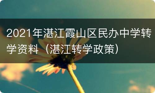2021年湛江霞山区民办中学转学资料（湛江转学政策）