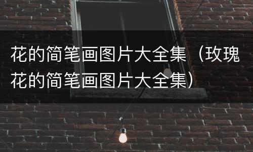 花的简笔画图片大全集（玫瑰花的简笔画图片大全集）