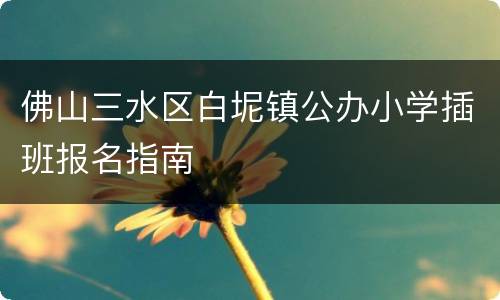 佛山三水区白坭镇公办小学插班报名指南