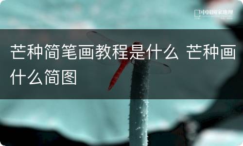 芒种简笔画教程是什么 芒种画什么简图