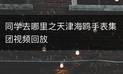 同学去哪里之天津海鸥手表集团视频回放