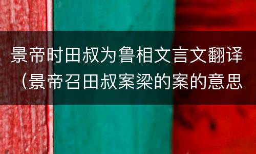 景帝时田叔为鲁相文言文翻译（景帝召田叔案梁的案的意思）