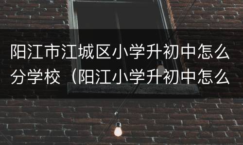 阳江市江城区小学升初中怎么分学校（阳江小学升初中怎么录取）