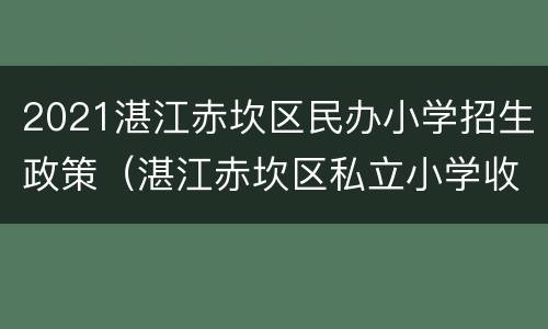 2021湛江赤坎区民办小学招生政策（湛江赤坎区私立小学收费标准）