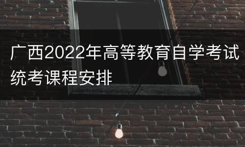 广西2022年高等教育自学考试统考课程安排