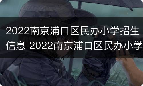2022南京浦口区民办小学招生信息 2022南京浦口区民办小学招生信息表