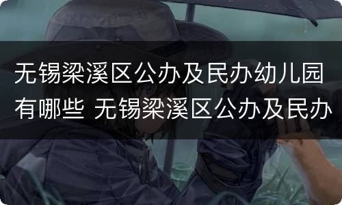 无锡梁溪区公办及民办幼儿园有哪些 无锡梁溪区公办及民办幼儿园有哪些学校