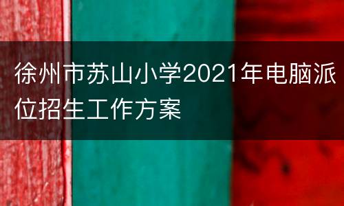 徐州市苏山小学2021年电脑派位招生工作方案