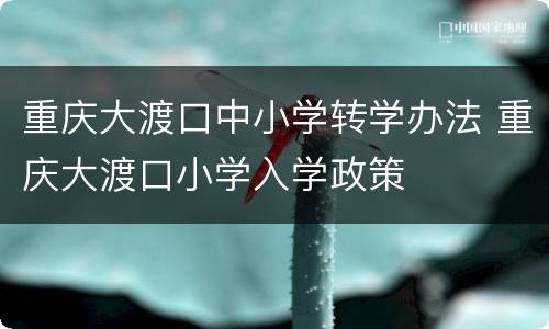 重庆大渡口中小学转学办法 重庆大渡口小学入学政策