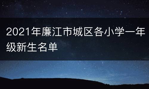 2021年廉江市城区各小学一年级新生名单