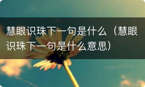 慧眼识珠下一句是什么（慧眼识珠下一句是什么意思）