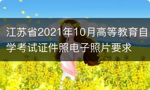 江苏省2021年10月高等教育自学考试证件照电子照片要求