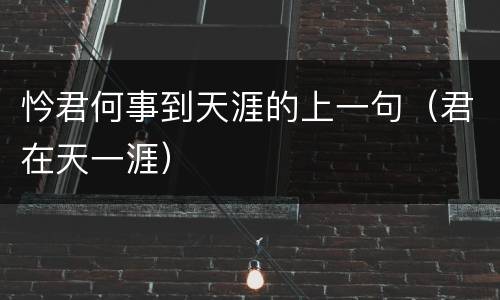 忴君何事到天涯的上一句（君在天一涯）