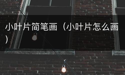 小叶片简笔画（小叶片怎么画）