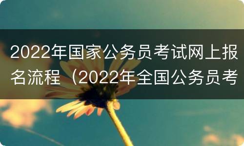 2022年国家公务员考试网上报名流程（2022年全国公务员考试报名入口）