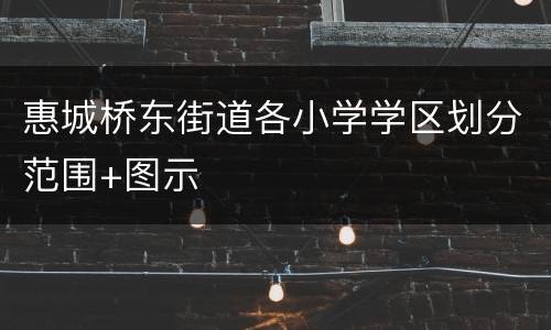 惠城桥东街道各小学学区划分范围+图示