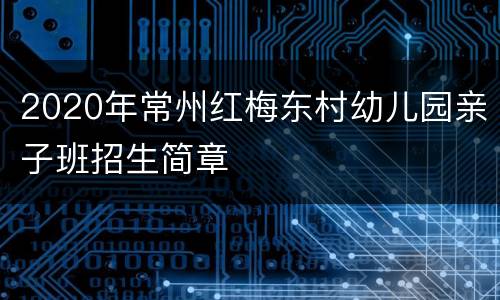 2020年常州红梅东村幼儿园亲子班招生简章