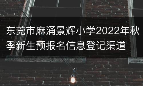 东莞市麻涌景辉小学2022年秋季新生预报名信息登记渠道