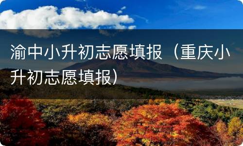 渝中小升初志愿填报（重庆小升初志愿填报）