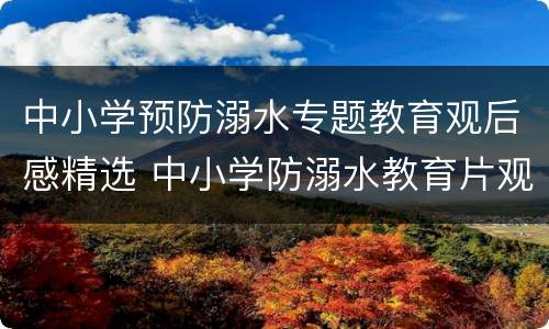 中小学预防溺水专题教育观后感精选 中小学防溺水教育片观后感