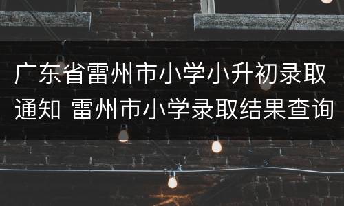 广东省雷州市小学小升初录取通知 雷州市小学录取结果查询