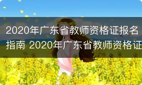 2020年广东省教师资格证报名指南 2020年广东省教师资格证报名指南解读