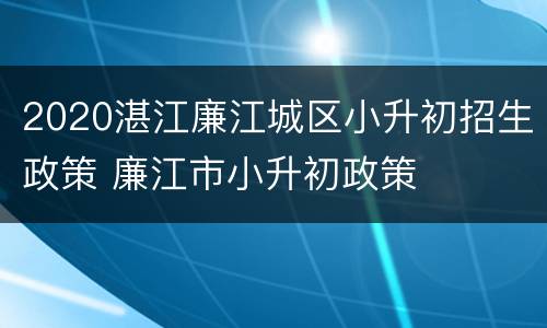 2020湛江廉江城区小升初招生政策 廉江市小升初政策