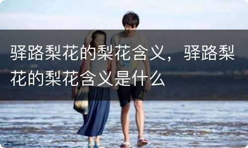 驿路梨花的梨花含义，驿路梨花的梨花含义是什么