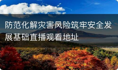 防范化解灾害风险筑牢安全发展基础直播观看地址