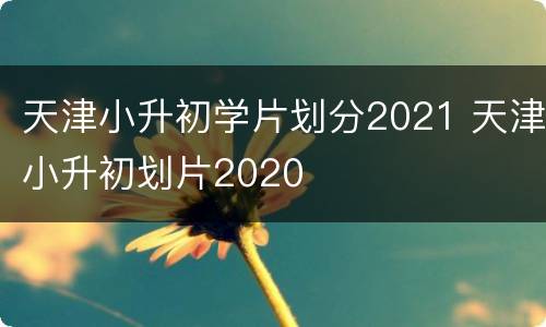 天津小升初学片划分2021 天津小升初划片2020
